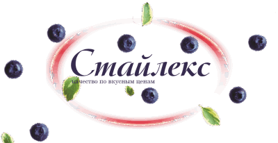 ООО "СТАЙЛЕКС"